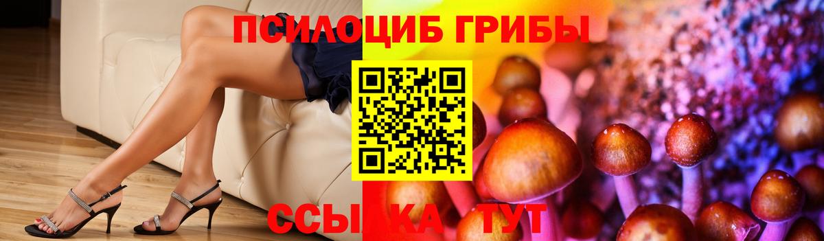 Галлюциногенные грибы прущие грибы  где найти   Псилоцибиновые грибы GOLDEN TEACHER  Луховицы  Вход с VPN 